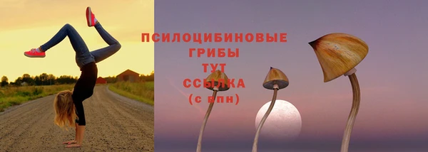винт Балабаново